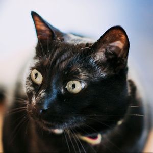 Meet your Posher, Madeline